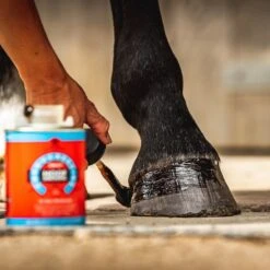Corn Daily Hoof Dressing -Equestrian Equipment Store go 301893 c