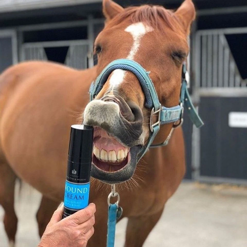 Wound Cream 2 Wound Cream - Image 2