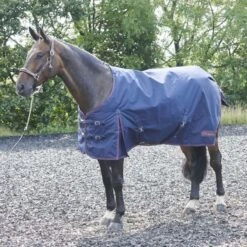 Rastrick 200g Turnout Rug