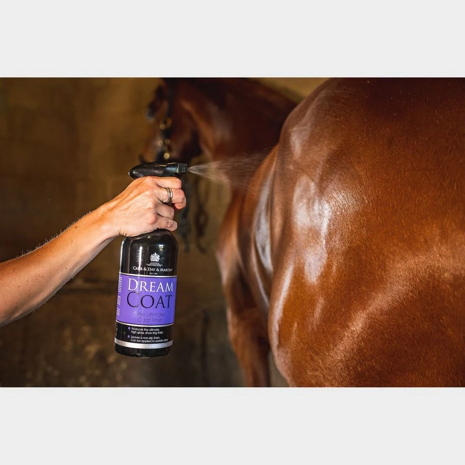 Dreamcoat Spray 2 Dreamcoat Spray - Image 2