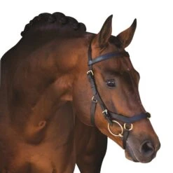 Rambo Micklem Multibridle -Equestrian Equipment Store go 477660 z