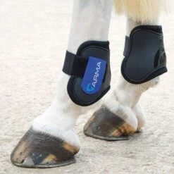 ARMA Fetlock Boots Black/Royal Blue