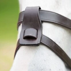 Flash Attachment 5 Flash Attachment -Equestrian Equipment Store go 477916 z