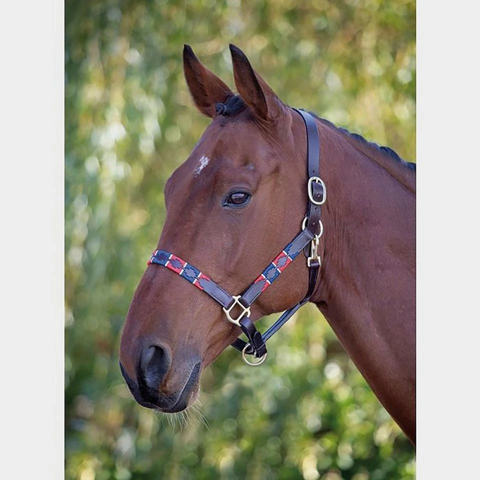 Leather Polo Headcollar 1 Leather Polo Headcollar