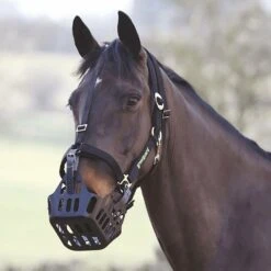 Grazing Muzzle -Equestrian Equipment Store go 477944 z