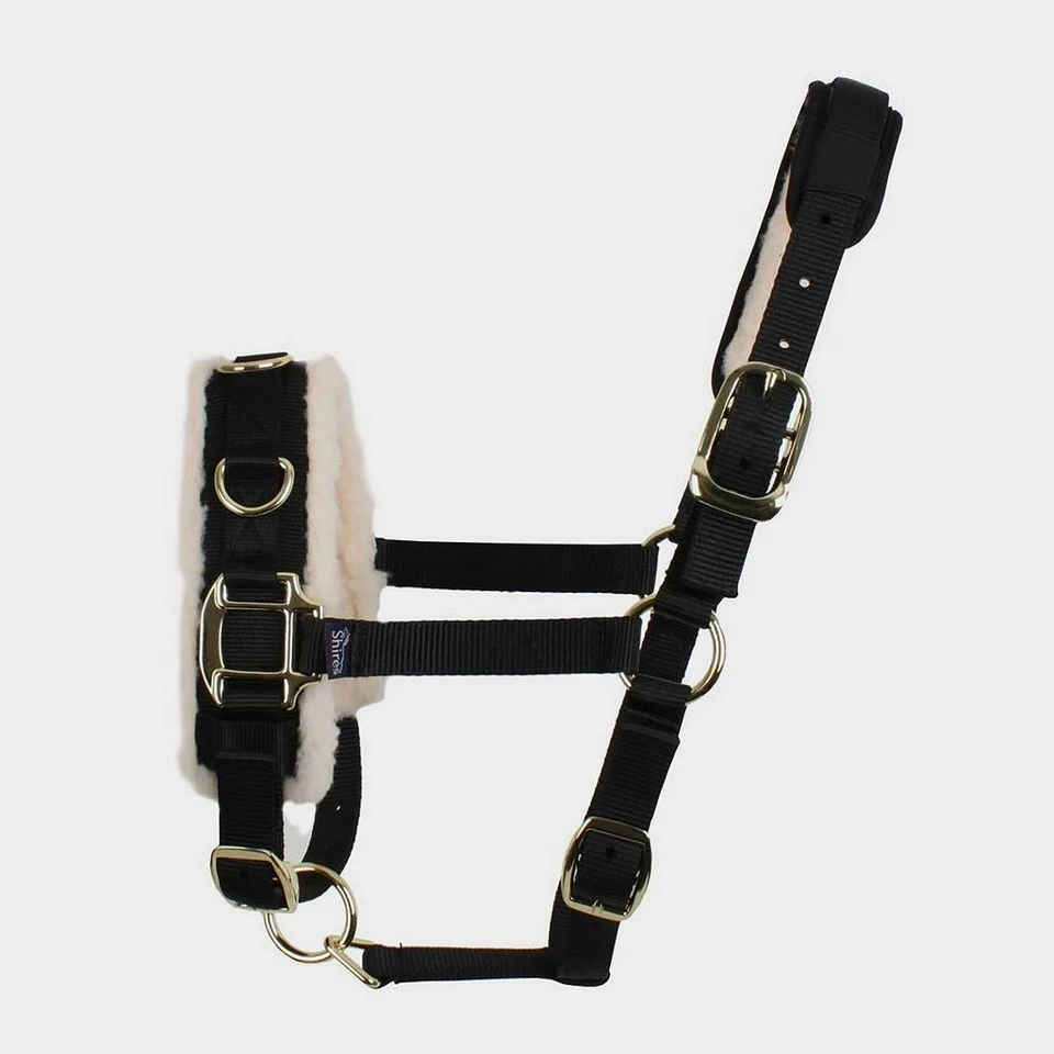 Fleece Lined Lunge Cavesson 2 Fleece Lined Lunge Cavesson - Image 2