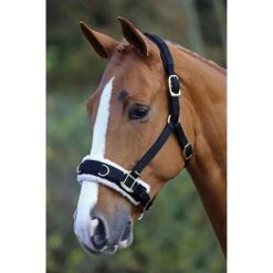 Fleece Lined Lunge Cavesson 5 Fleece Lined Lunge Cavesson -Equestrian Equipment Store go 478050 z