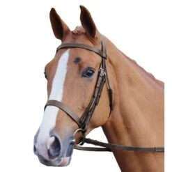 Equestrian Equipment Store -Equestrian Equipment Store go 478238 z