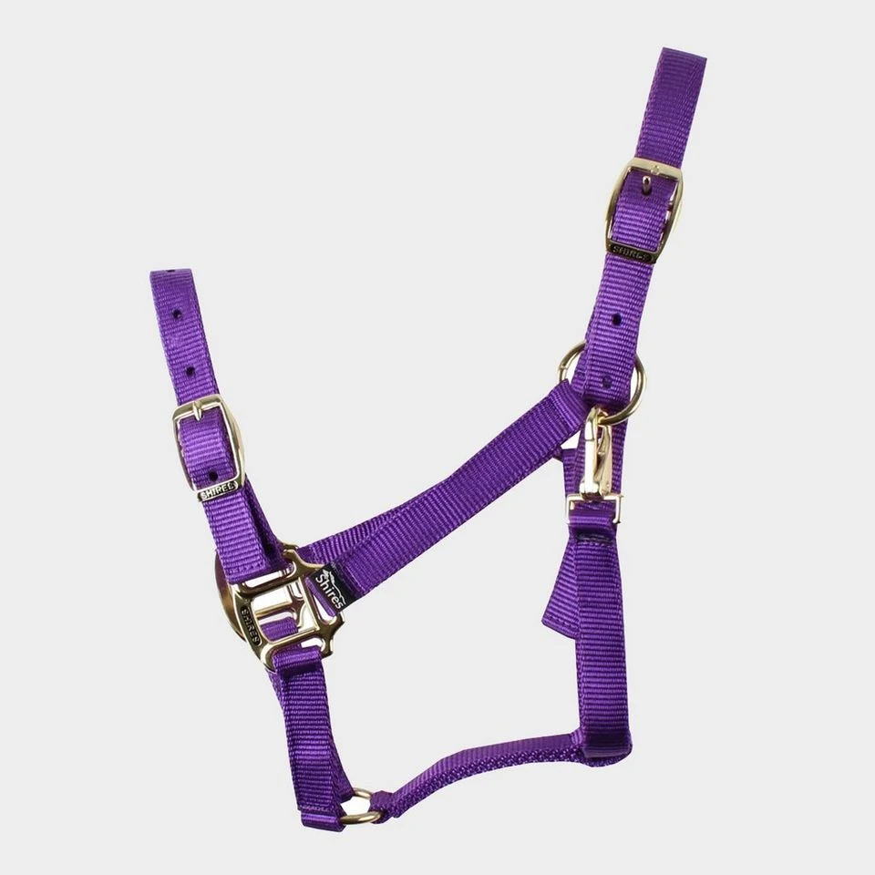 Nylon Headcollar Purple 1 Nylon Headcollar Purple