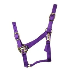 Nylon Headcollar Purple 5 Nylon Headcollar Purple -Equestrian Equipment Store go 478388 z