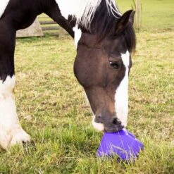 Drip Feed -Equestrian Equipment Store go 478895 d