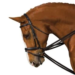 Web Draw Reins Set -Equestrian Equipment Store go 479332 z