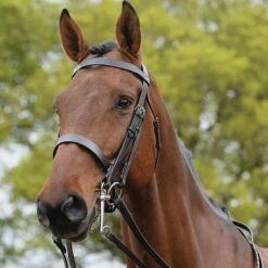 Equestrian Equipment Store 2 Show Weymouth Bridle Brown