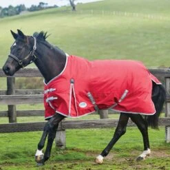 Weatherbeeta ComFiTec Classic 0g Lightweight Standard Neck Turnout Rug