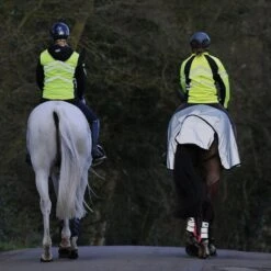 Weatherbeeta Reflective Wrap Exercise Sheet -Equestrian Equipment Store go 479506 g