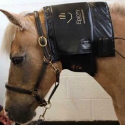 Therapy Heat Pad -Equestrian Equipment Store go 479853 c