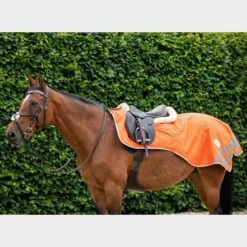 Mesh Exercise Sheet -Equestrian Equipment Store go 517250 c