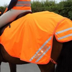 Mesh Exercise Sheet -Equestrian Equipment Store go 517250 z