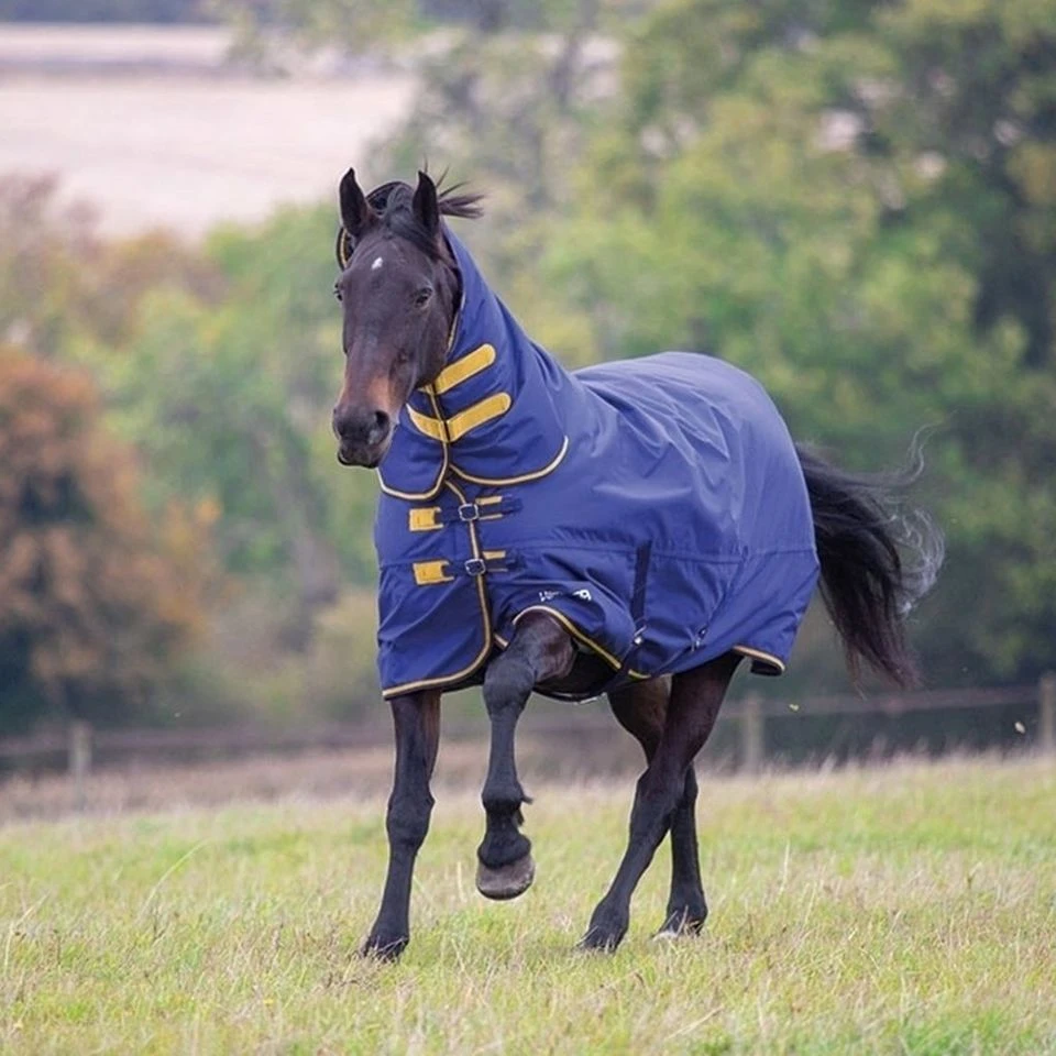 Tempest Original 300g Heavyweight Combo Neck Turnout Rug 1 Tempest Original 300g Heavyweight Combo Neck Turnout Rug