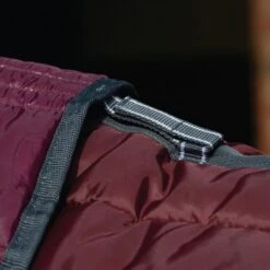 Weatherbeeta ComFiTec 210D Channel Quilt 400g Heavy Weight Combo Stable Rug -Equestrian Equipment Store go 517505 d