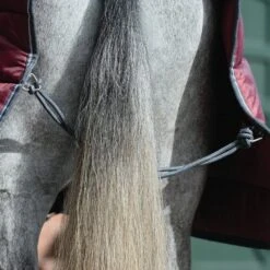 Weatherbeeta ComFiTec 210D Channel Quilt 400g Heavy Weight Combo Stable Rug -Equestrian Equipment Store go 517505 e