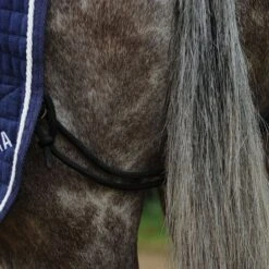 Weatherbeeta Thermocell Quarter Sheet -Equestrian Equipment Store go 517512 d