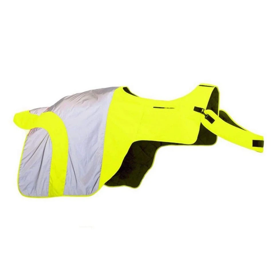 Mercury Wrap Around Rug 2 Mercury Wrap Around Rug - Image 2