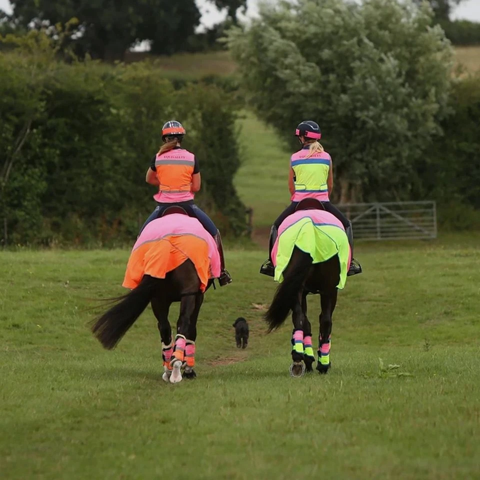 Charlotte Dujardin Multi-Coloured Horse Boots Pink/Orange 2 Charlotte Dujardin Multi-Coloured Horse Boots Pink/Orange - Image 2