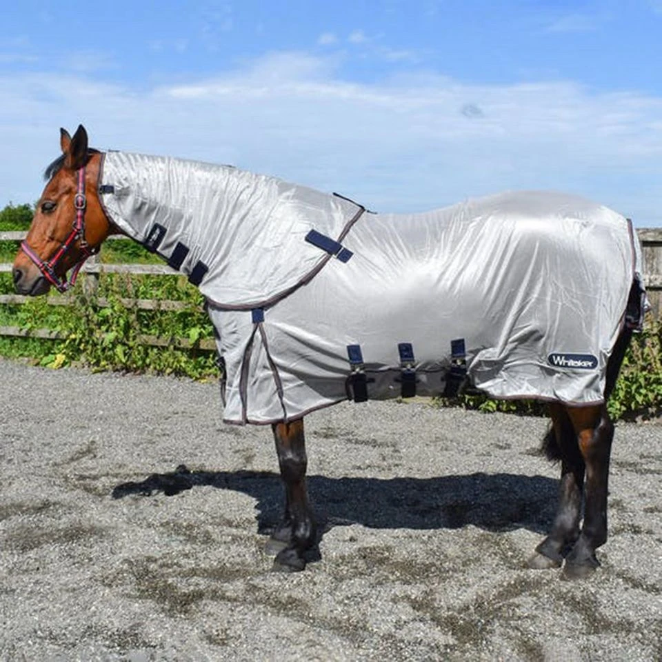 Airton Fly Rug Pearl 1 Airton Fly Rug Pearl