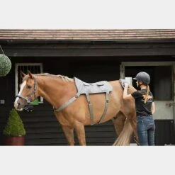 Massage Hotspot Combo -Equestrian Equipment Store go 571600 c