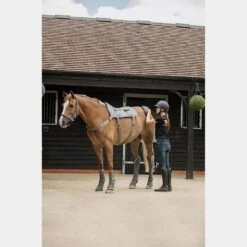 Massage Hotspot Combo -Equestrian Equipment Store go 571600 d