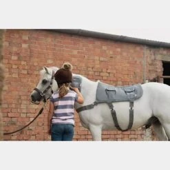 Massage Hotspot Combo -Equestrian Equipment Store go 571600 e