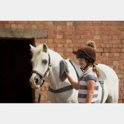 Massage Hotspot Combo -Equestrian Equipment Store go 571600 h