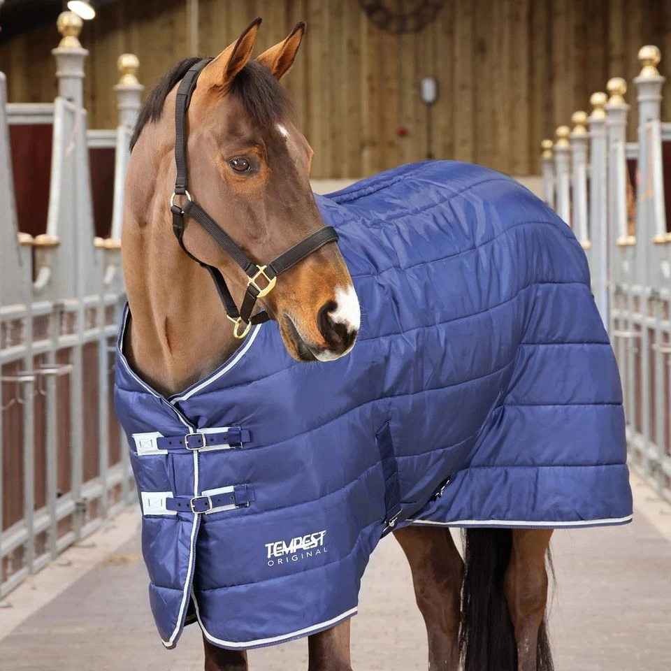Tempest 200g Stable Rug And Neck 2 Tempest 200g Stable Rug And Neck - Image 2