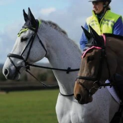 Weatherbeeta Reflective Ear Bonnet -Equestrian Equipment Store go 590176 c
