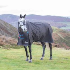 Highlander Original 200g Medium Weight Combo Neck Turnout Rug