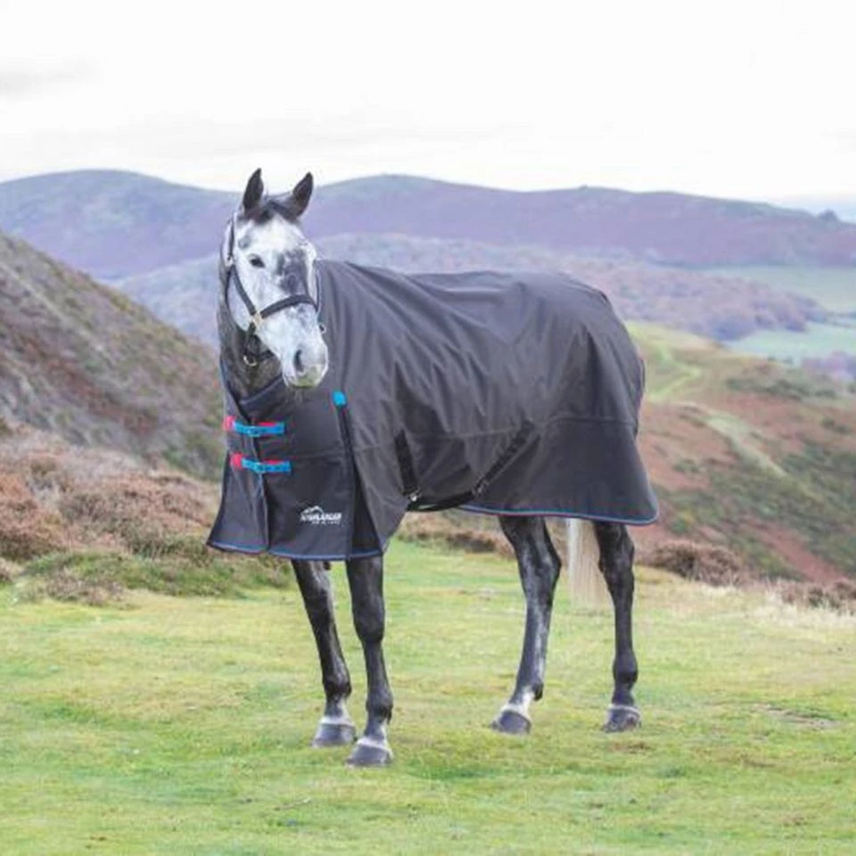 Highlander Original 200g Medium Weight Combo Neck Turnout Rug 3 Highlander Original 200g Medium Weight Combo Neck Turnout Rug - Image 3