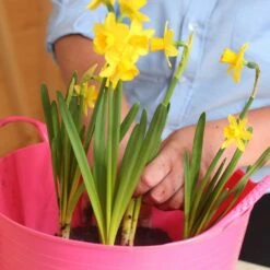 Gorilla Flexible Tub (Small) -Equestrian Equipment Store go 622630 c